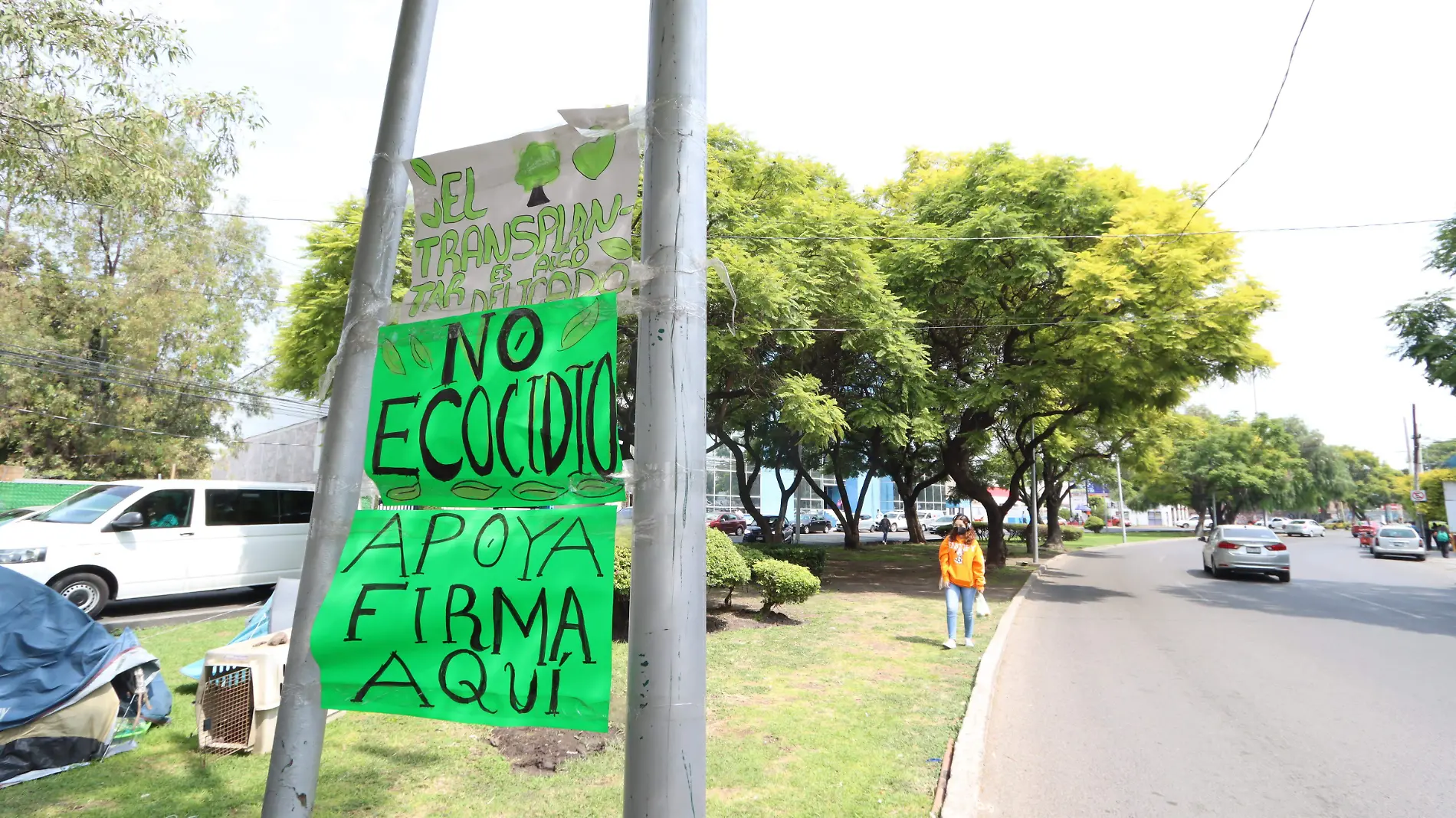 AMBIENTALISTAS MANTIENEN